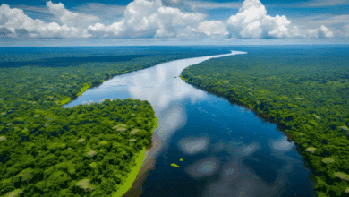 rio Amazonas