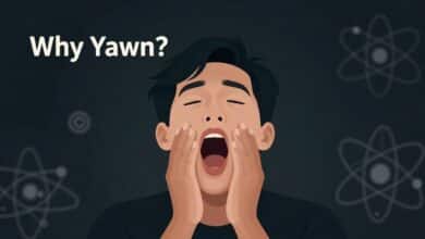 Imagem de uma pessoa bocejando amplamente, sugerindo curiosidade científica sobre o fenômeno