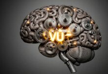 Uma representação artística do cérebro humano com engrenagens e luzes, simbolizando os complexos processos de memória e a sensação misteriosa do déjà vu.