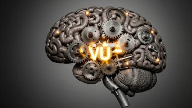 Uma representação artística do cérebro humano com engrenagens e luzes, simbolizando os complexos processos de memória e a sensação misteriosa do déjà vu.