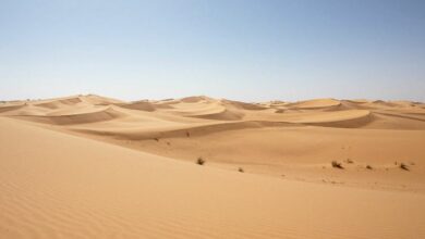 Uma vista aérea cinematográfica de um deserto vasto com dunas de areia onduladas sob um céu claro de final de tarde, destacando a textura geológica da paisagem.