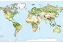 Mapa-múndi ilustrado com linhas de fusos horários, relógios marcando diferentes horas e a Terra vista do espaço com áreas iluminadas pelo Sol