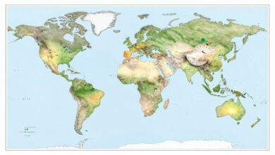 Mapa-múndi ilustrado com linhas de fusos horários, relógios marcando diferentes horas e a Terra vista do espaço com áreas iluminadas pelo Sol