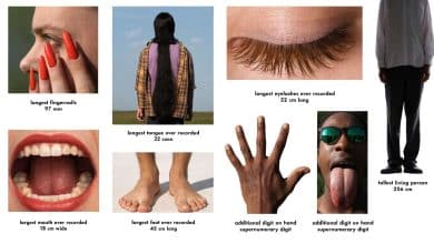 Imagem editorial em estilo realista que reúne oito recordes humanos curiosos: unhas extremamente longas, língua comprida, boca aberta, cabelo até o chão, pés grandes, cílios longos, dedos extras e uma pessoa muito alta